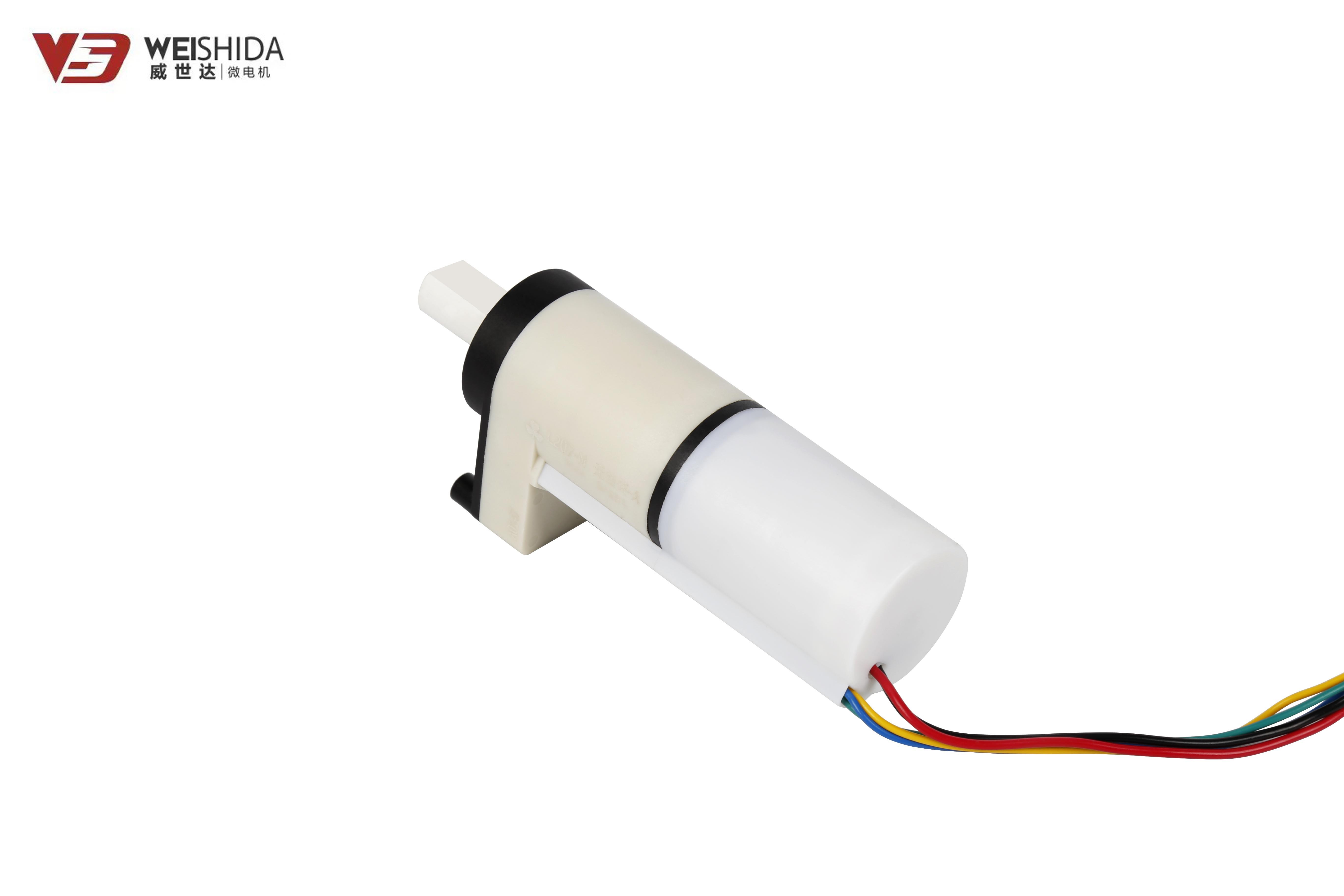 micro dc motor