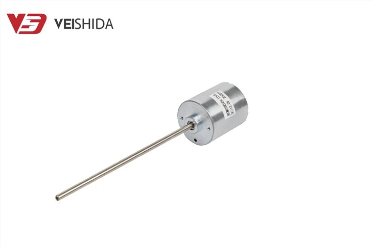 Brushed DC Motor 12V 3000rpm