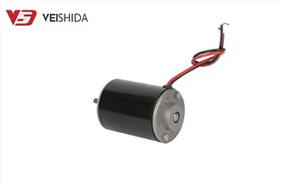 Moteur CC à balais 12 V 3000 tr/min