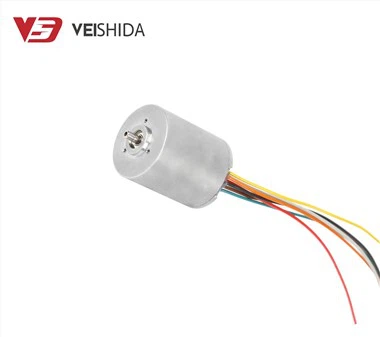 Moteur CC sans balais BLDC haute vitesse 12V 24V